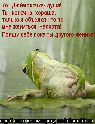 Ах, Дюймовочка- душа! Ты, конечно, хороша, только я объелся что-то, мне жениться неохота! Поищи себ... Котоматрица: Ах, Дюймовочка- душа! Ты, конечно, хороша, только я объелся что-то, мне жениться неохота! Поищи себе пока ты другого жениха!