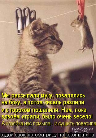 Котоматрица: Мы рассыпали муку, повалялись  на боку, а потом кисель разлили и с горохом пошалили. Нам, пока вдвоём играли, было очень весело! А хозяйка нас 