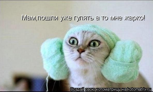 Котоматрица: Мам,пошли уже гулять а то мне жарко!