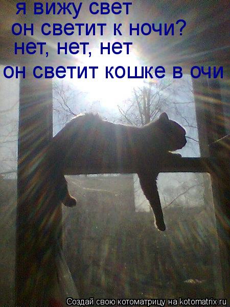 Котоматрица: я вижу свет нет, нет, нет он светит к ночи? он светит кошке в очи