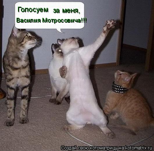 Котоматрица: Голосуем за меня, Василия Мотросовича!!!