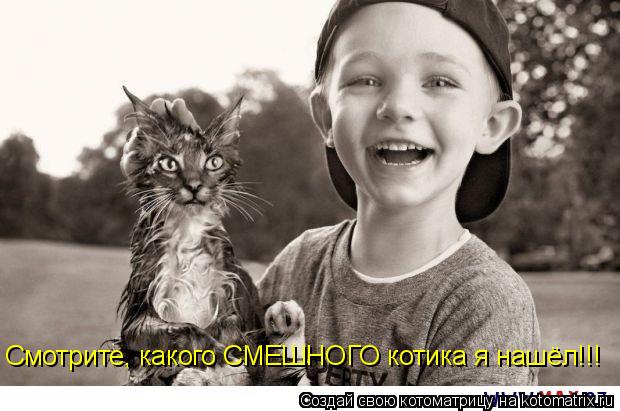 Котоматрица: Смотрите, какого СМЕШНОГО котика я нашёл!!!
