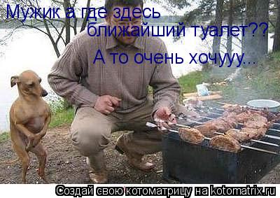 Котоматрица: Мужик а где здесь ближайший туалет?? А то очень хочууу...