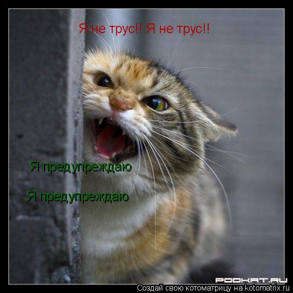 Котоматрица: Я не трус!! Я не трус!! Я предупреждаю Я предупреждаю