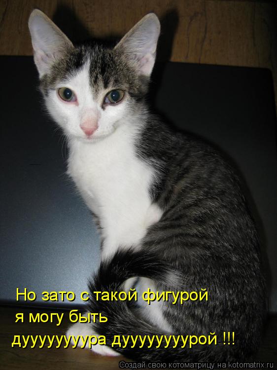Котоматрица: Но зато с такой фигурой я могу быть   дуууууууура дуууууууурой !!!