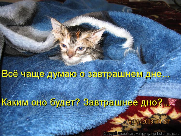 Котоматрица: Всё чаще думаю о завтрашнем дне... Каким оно будет? Завтрашнее дно?...