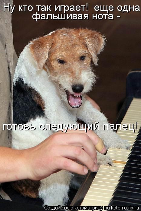 Ну кто так играет! еще одна фальшивая нота - готовь следующий палец! фальшивая нота - готовь следую... Котоматрица: Ну кто так играет! еще одна фальшивая нота - готовь следующий палец! фальшивая нота - готовь следующий палец!