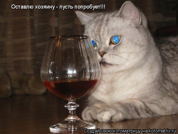 Котоматрица: Оставлю хозяину - пусть попробует!!!