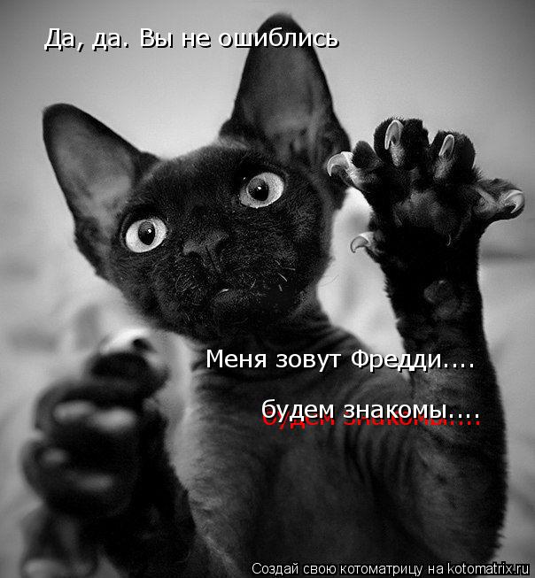 Котоматрица: Да, да. Вы не ошиблись Меня зовут Фредди.... будем знакомы.... будем знакомы....