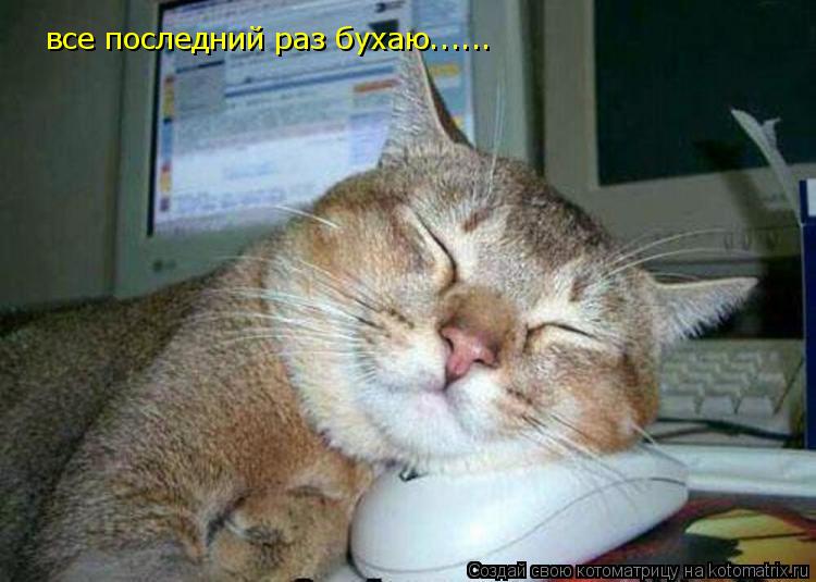 Котоматрица: все последний раз бухаю......