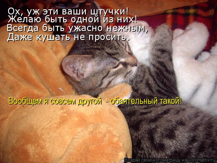Котоматрица: Ох, уж эти ваши штучки! Желаю быть одной из них! Всегда быть ужасно нежным,  Даже кушать не просить. Вообщем я совсем другой  - обаятельный так
