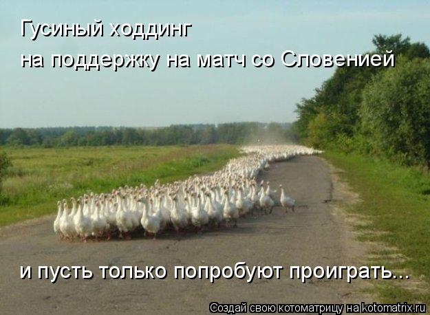 Котоматрица: Гусиный ходдинг на поддержку на матч со Словенией и пусть только попробуют проиграть...