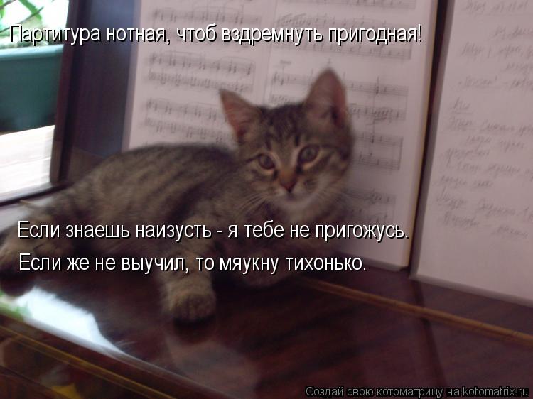 Котоматрица: Партитура нотная, чтоб вздремнуть пригодная! Если знаешь наизусть - я тебе не пригожусь. Если же не выучил, то мяукну тихонько.