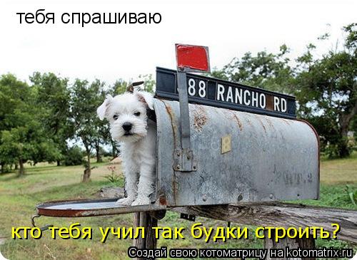Котоматрица: тебя спрашиваю кто тебя учил так будки строить?