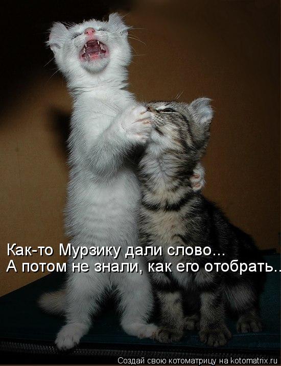 Как-то Мурзику дали слово... А потом не знали, как его отобрать...... Котоматрица: Как-то Мурзику дали слово... А потом не знали, как его отобрать...