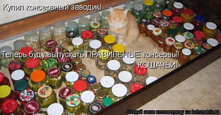 Купил консервный заводик! Теперь буду выпускать ПРАВИЛЬНЫЕ консервы! КОШАЧЬИ!... Котоматрица: Купил консервный заводик! Теперь буду выпускать ПРАВИЛЬНЫЕ консервы! КОШАЧЬИ!