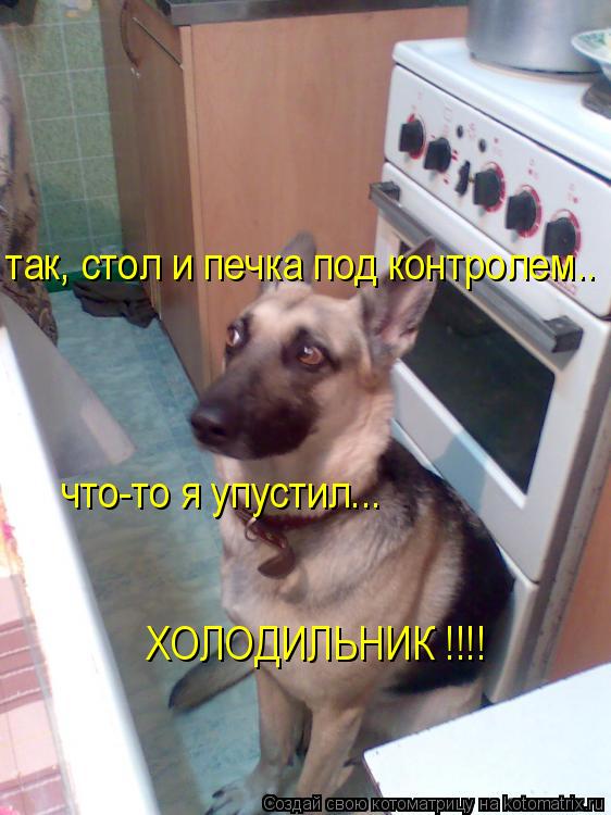 Котоматрица: так, стол и печка под контролем.. что-то я упустил... ХОЛОДИЛЬНИК !!!!