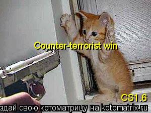 Котоматрица: Counter-terrorist win CS1.6