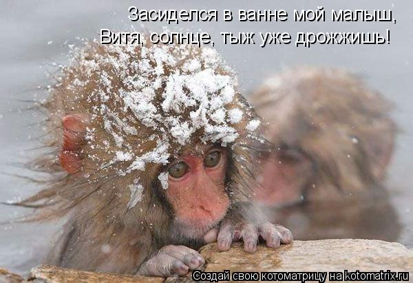 Котоматрица: Засиделся в ванне мой малыш, Витя, солнце, тыж уже дрожжишь!