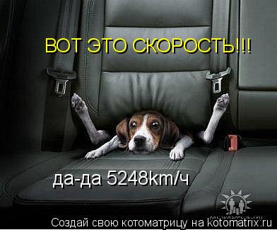 Котоматрица: ВОТ ЭТО СКОРОСТЬ!!! да-да 5248km/ч