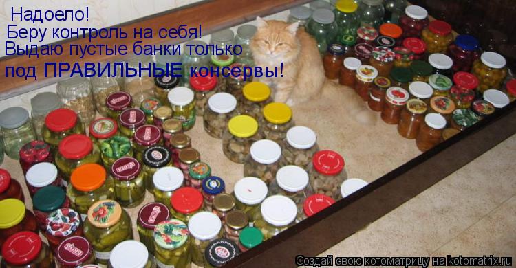 Котоматрица: Надоело! Беру контроль на себя! Выдаю пустые банки только под ПРАВИЛЬНЫЕ консервы! под ПРАВИЛЬНЫЕ консервы!
