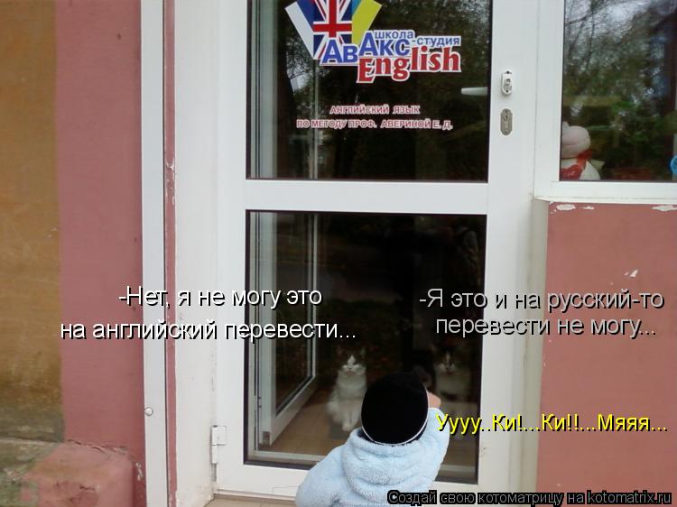 Котоматрица: -Нет, я не могу это  на английский перевести... -Я это и на русский-то перевести не могу... Уууу..Ки!...Ки!!...Мяяя...