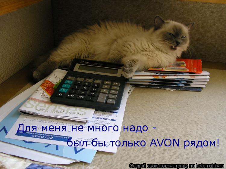 Котоматрица: Для меня не много надо - был бы только AVON рядом!