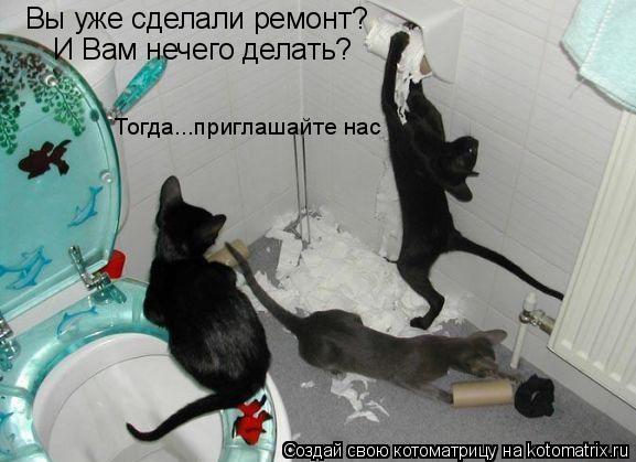 Котоматрица: Вы уже сделали ремонт? И Вам нечего делать? Тогда...приглашайте нас