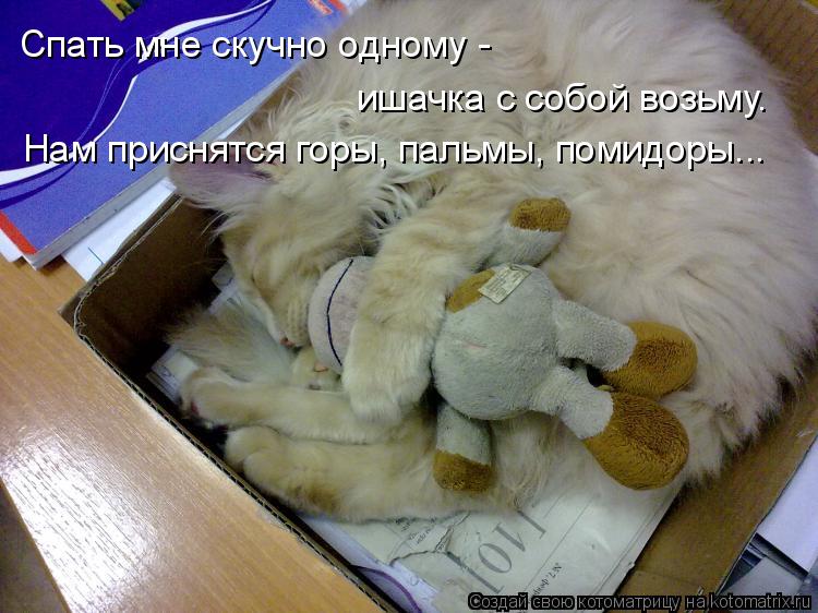 Котоматрица: Спать мне скучно одному - ишачка с собой возьму. Нам приснятся горы, пальмы, помидоры...