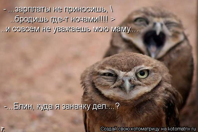 Котоматрица: - ...зарплаты не приносишь,  ..бродишь где-т ночами!!!! > ..и совсем не уважаешь мою маму.... -...Блин, куда я заначку дел....?