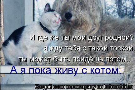 Котоматрица: И где же ты мой друг родной?    я жду тебя с такой тоской.   ты может быть придёшь потом...  А я пока живу с котом.
