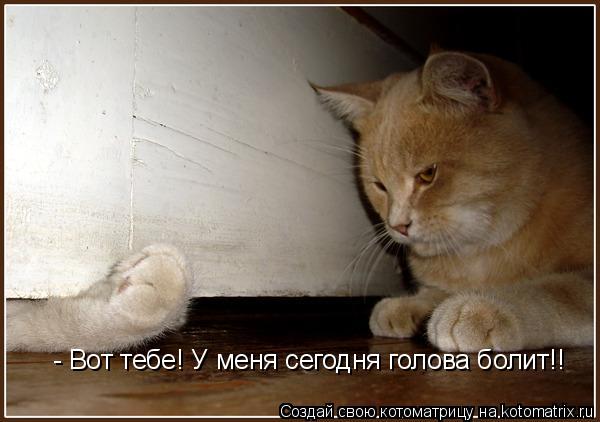 Котоматрица: - Вот тебе! У меня сегодня голова болит!!