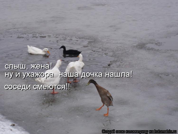Котоматрица: слыш, жена! ну и ухажора  наша дочка нашла! соседи смеются!!