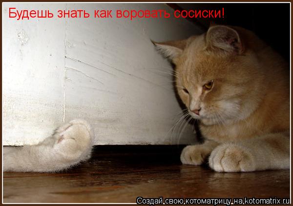 Котоматрица: Будешь знать как воровать сосиски!