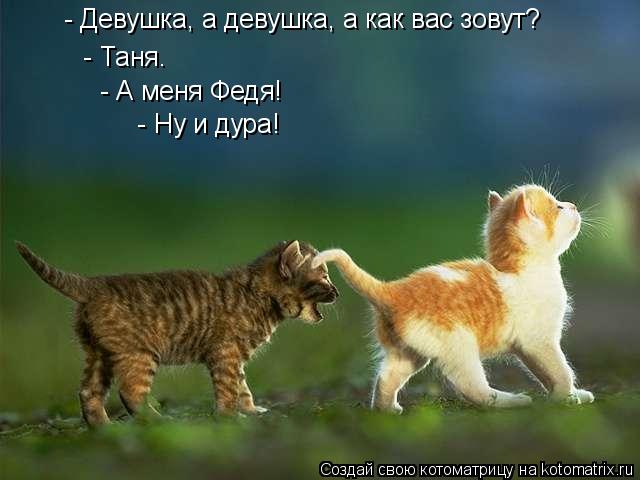 Котоматрица: - Девушка, а девушка, а как вас зовут?    - Таня.      - А меня Федя!     - Ну и дура!