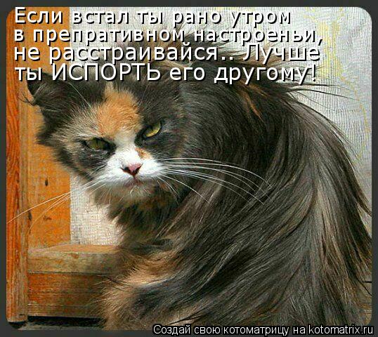 Котоматрица: Если встал ты рано утром  в препративном настроеньи, не расстраивайся.. Лучше ты ИСПОРТЬ его другому!