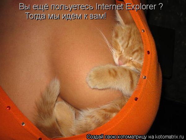 Котоматрица: Вы ещё польуетесь Internet Explorer ? Тогда мы идём к вам!