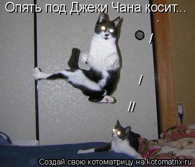 Котоматрица: Опять под Джеки Чана косит... . / / //