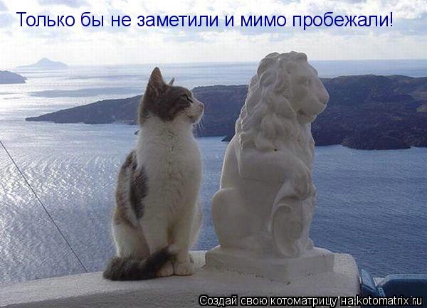 Котоматрица: Только бы не заметили и мимо пробежали!