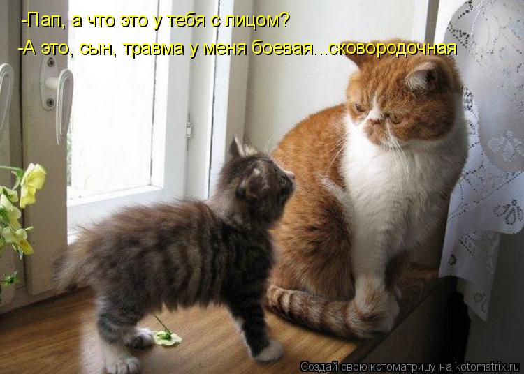 -Пап, а что это у тебя с лицом? -А это, сын, травма у меня боевая...сковородочная... Котоматрица: -Пап, а что это у тебя с лицом? -А это, сын, травма у меня боевая...сковородочная
