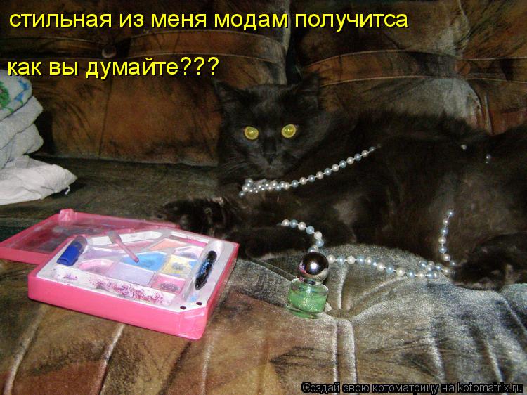 Котоматрица: стильная из меня модам получитса как вы думайте???