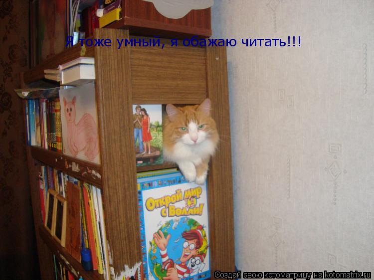 Котоматрица: Я тоже умный, я обажаю читать!!!