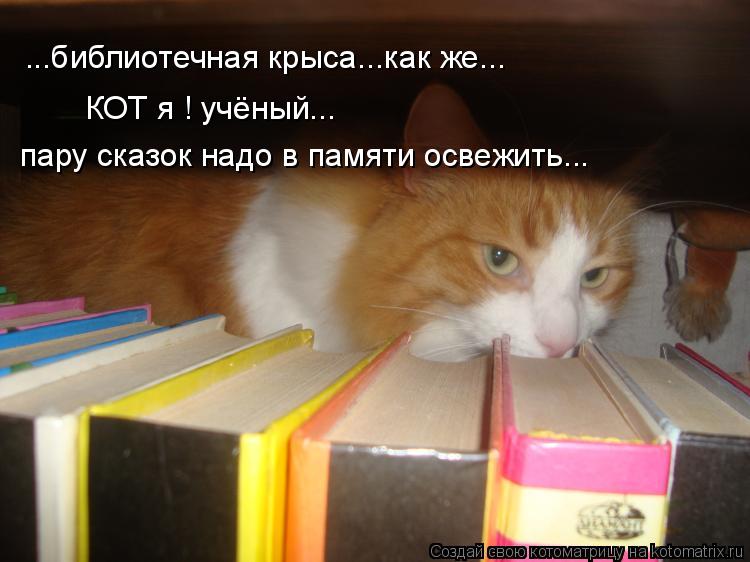 Котоматрица: ...библиотечная крыса...как же... пару сказок надо в памяти освежить... КОТ я ! учёный...