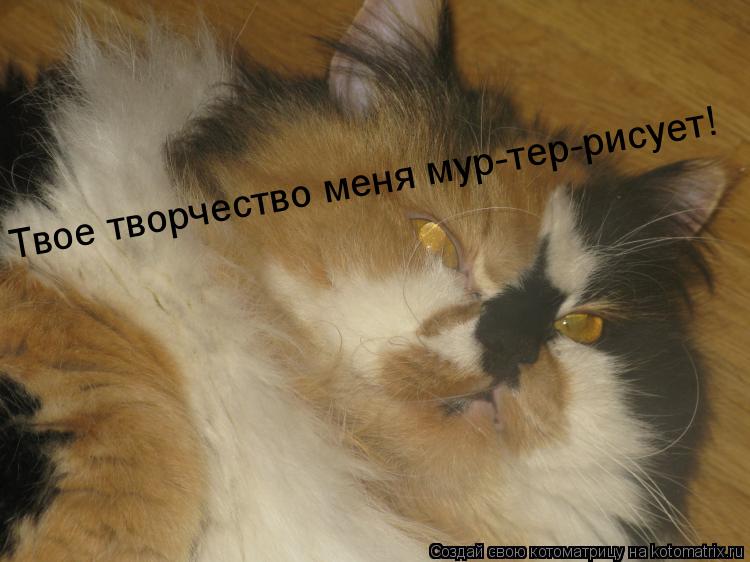 Котоматрица: Твое творчество меня мур-тер-рисует!
