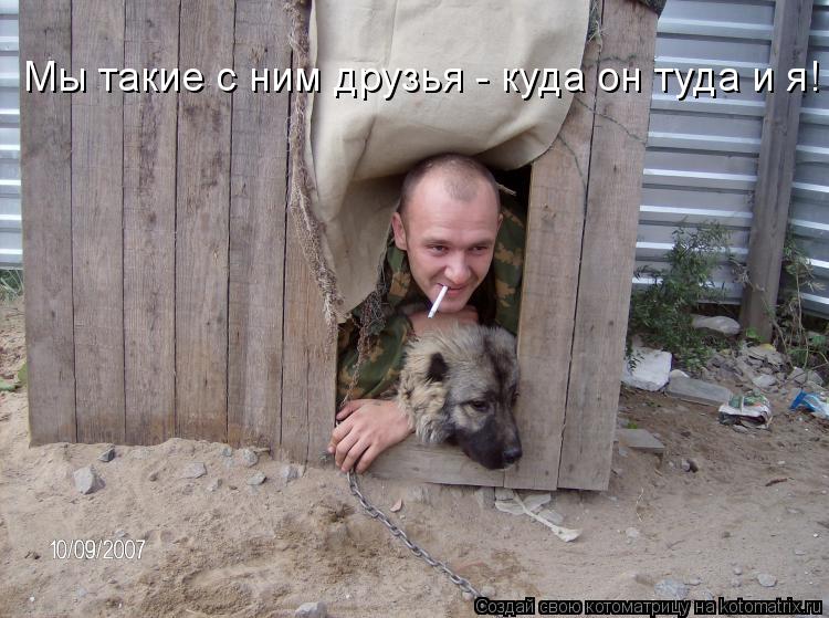 Котоматрица: Мы такие с ним друзья - куда он туда и я!