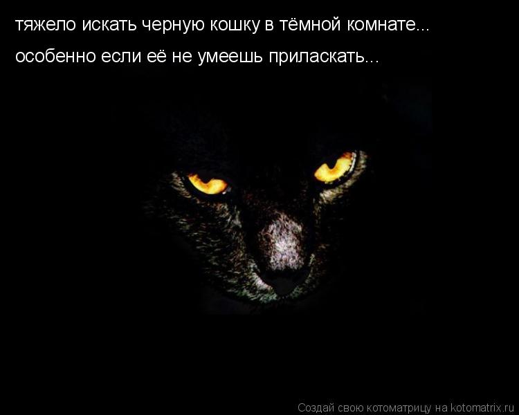 Котоматрица: тяжело искать черную кошку в тёмной комнате... особенно если её не умеешь приласкать...