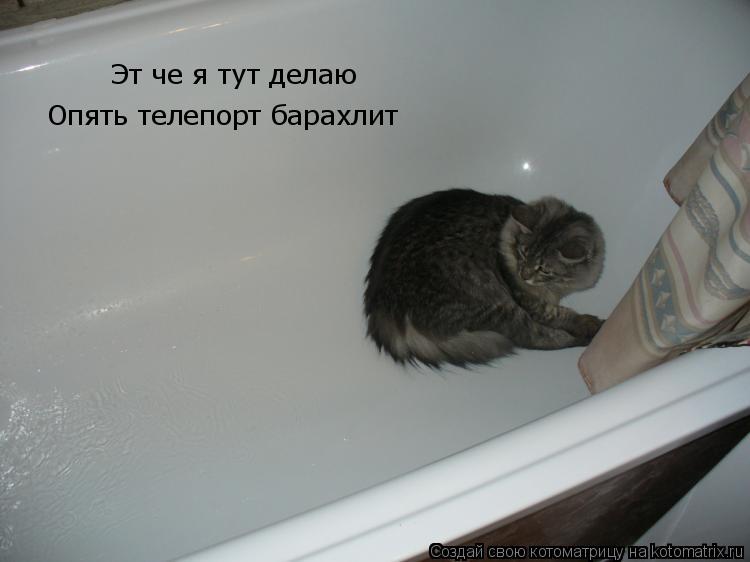 Котоматрица: Эт че я тут делаю Опять телепорт барахлит