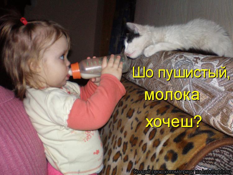 Котоматрица: молока хочеш? Шо пушистый,