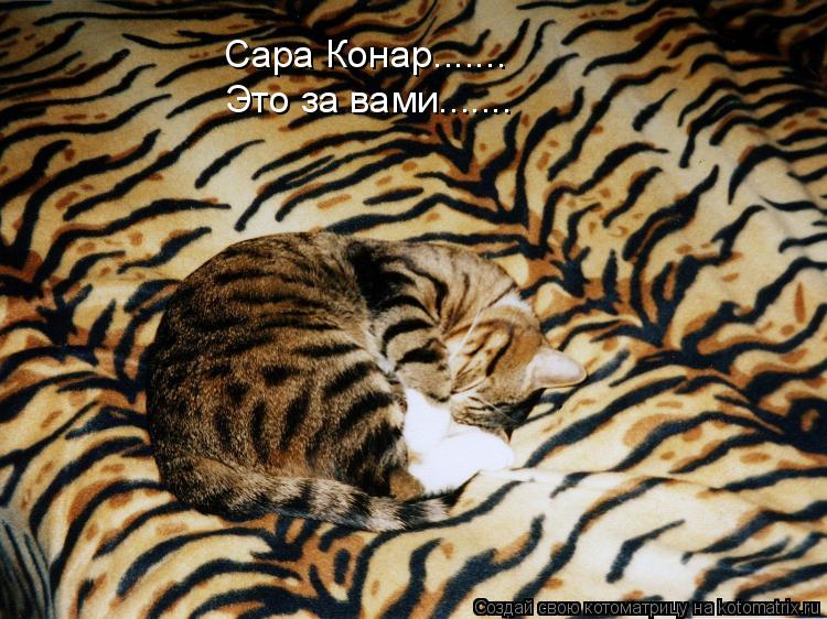 Котоматрица: Сара Конар....... Это за вами.......