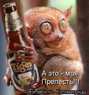Котоматрица: А это - моя Прелесть!!!